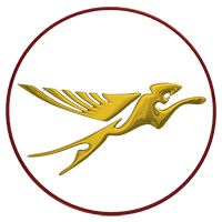 flying_leopard_logo
